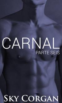 Carnal: Parte Seis