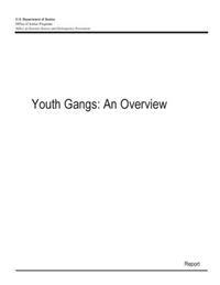 Youth Gangs