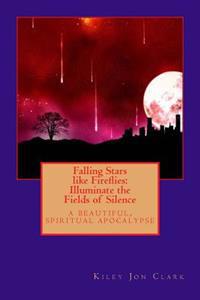 Falling Stars like Fireflies