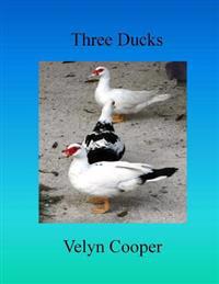 Three Ducks