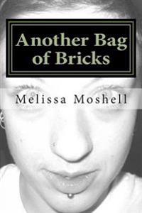 Another Bag of Bricks