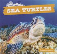 Sea Turtles