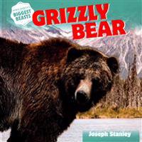 Grizzly Bear