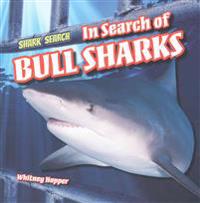 In Search of Bull Sharks