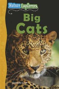 Big Cats