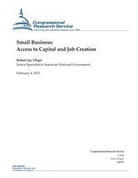 Kirjan kansi "Small Business: Access to Capital and Job Creation"