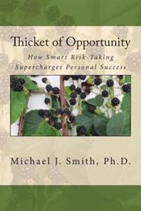 Thicket of Opportunity: How Smart Risk-Taking Supercharges Personal Success