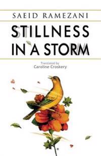 Stillness in a Storm