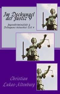 Im Dschungel der Justiz 9: Jugendkriminalität & Delinquenz betrachtet Teil 4