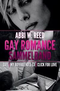 Gay Romance Sammelband: Guy - My Boyfriend's Ex - Click for Love