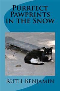 Purrfect Pawprints in the Snow
