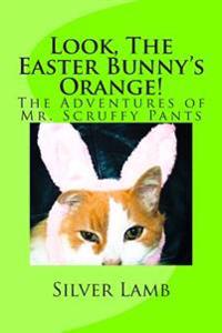 Look, the Easter Bunny's Orange