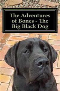 The Adventures of Bones - The Big Black Dog: Bones Needs a Playmate