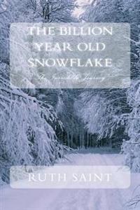 The Billion Year Old Snowflake: The Incredible Journey