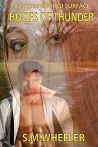 Loves Mirrored Surface