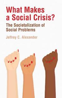 Bokomslag for "What Makes a Social Crisis?"