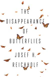 Disappearance of Butterflies