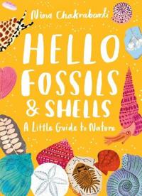 LITTLE GT NATURE HELLO FOSSILS & SHELLS