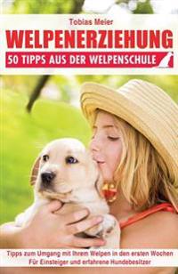 Welpenerziehung: 50 Tipps aus der Welpenschule