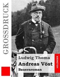 Andreas Vöst (Großdruck): Bauernroman
