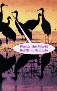 Watch the World Refill with Light