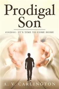 Prodigal Son: #162844 - It's time to come home