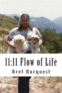 11: 11 Flow of Life
