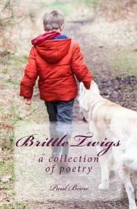 Brittle Twigs: a collection of poetry
