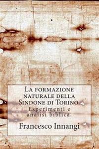 La formazione naturale della Sindone.: Esperimenti e analisi biblica.