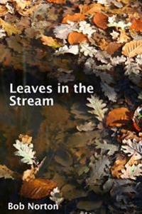Leaves in the Stream