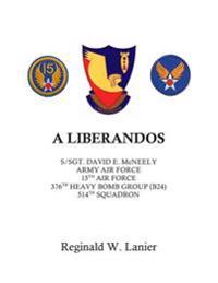 A Liberandos: S/Sgt. David E. McNeely, Army Air Force, 15th Air Force, 376th Heavy Bomb Group, 514th Squadron