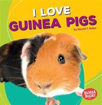 I Love Guinea Pigs