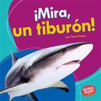 ¡Mira, Un Tiburón! (Look, a Shark!)