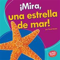 ¡Mira, Una Estrella de Mar! (Look, a Starfish!)