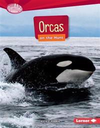 Orcas on the Hunt