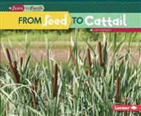 From Seed to Cattail