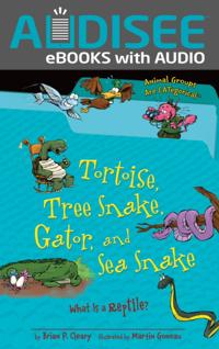 Tortoise, Tree Snake, Gator, and Sea Snake