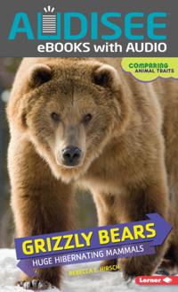 Grizzly Bears
