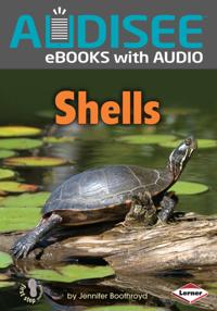 Shells