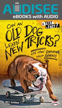 Can an Old Dog Learn New Tricks?