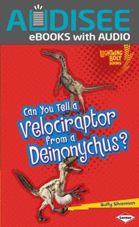 Can You Tell a Velociraptor from a Deinonychus?