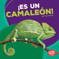 ¡Es un camaleón! (It''s a Chameleon!)