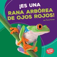 ¡Es una rana arbórea de ojos rojos! (It''s a Red-Eyed Tree Frog!)