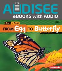 From Egg to Butterfly