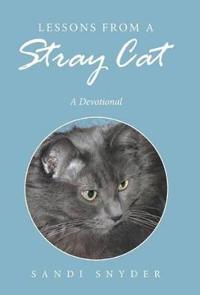 Bokomslag for "Lessons from a Stray Cat"