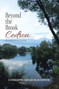 Beyond the Brook Cedron