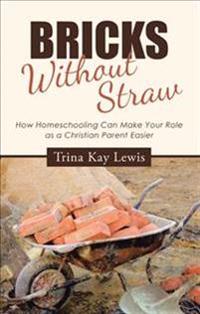 Bricks Without Straw
