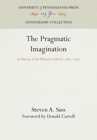 Pragmatic Imagination