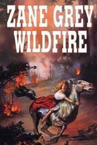 Bokomslag for "Wildfire"
