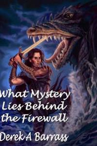 What Mystery Lies Behind The Firewall